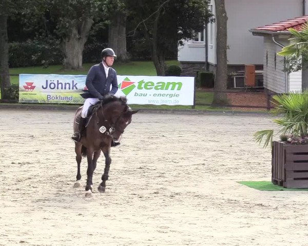 Reitturnier Schnarup-Thumby 2020