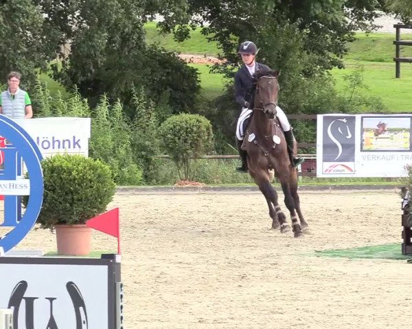 Reitturnier Schnarup-Thumby 2020