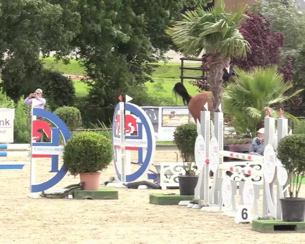 Reitturnier Schnarup-Thumby 2020