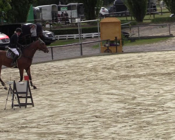 Reitturnier Hamm-Rhynern 2020