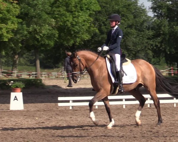 Reitturnier Hamm-Rhynern 2020