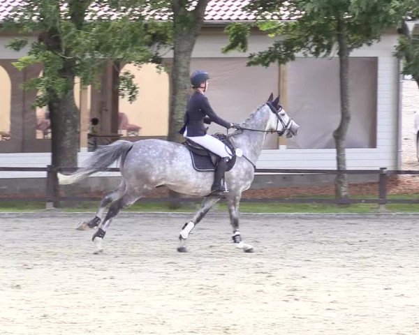 Reitturnier Schnarup-Thumby 2020