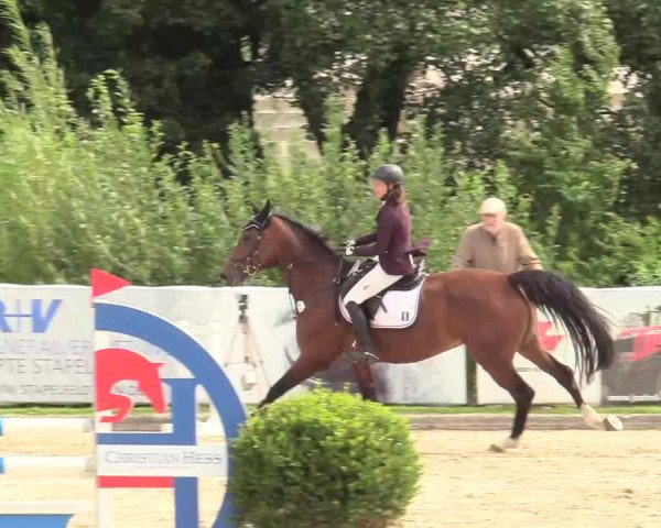 Reitturnier Schnarup-Thumby 2020