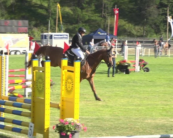 Reitturnier St. Moritz 2020