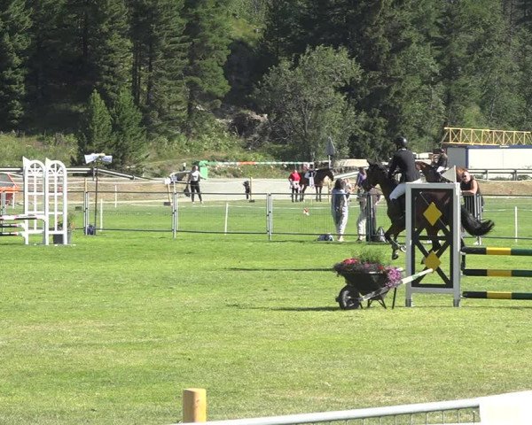 Reitturnier St. Moritz 2020