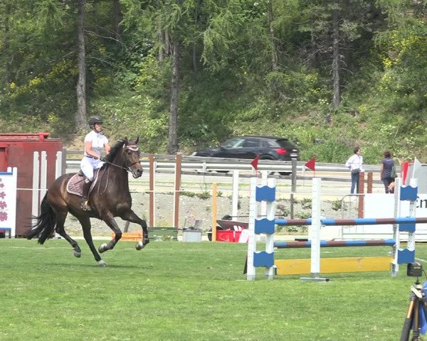 Reitturnier St. Moritz 2020