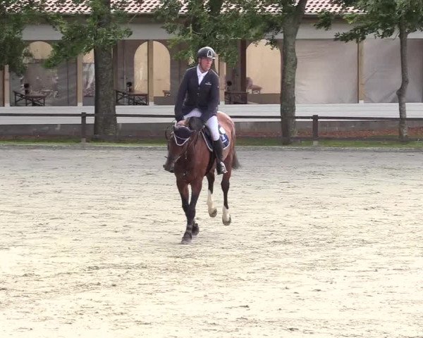 Reitturnier Schnarup-Thumby 2020