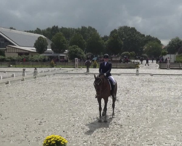Reitturnier Schülp / Rendsburg 2020