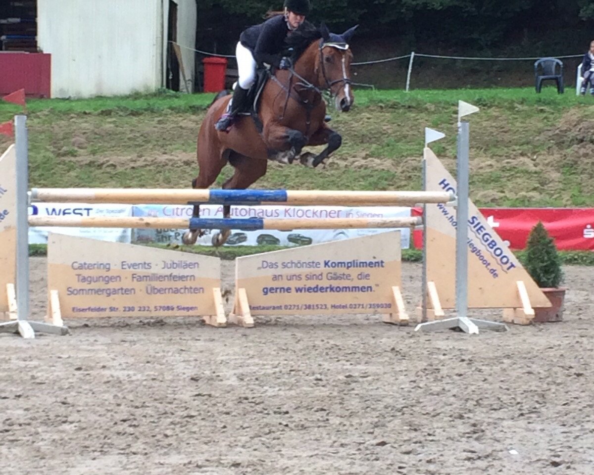 Skokan Larafina 2 (Rheinländer, 2005, od Lord Lancer)