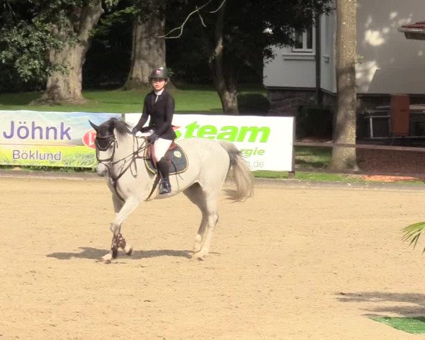 Reitturnier Schnarup-Thumby 2020