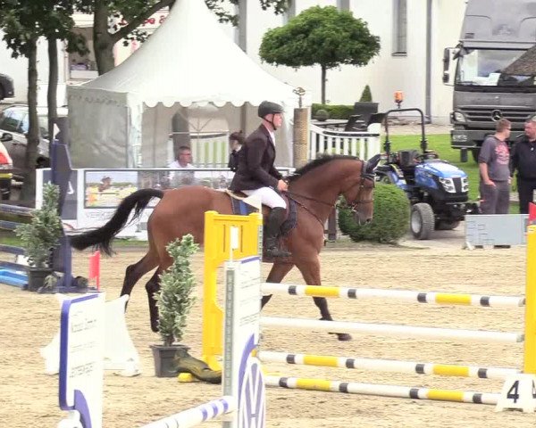Reitturnier Schnarup-Thumby 2020