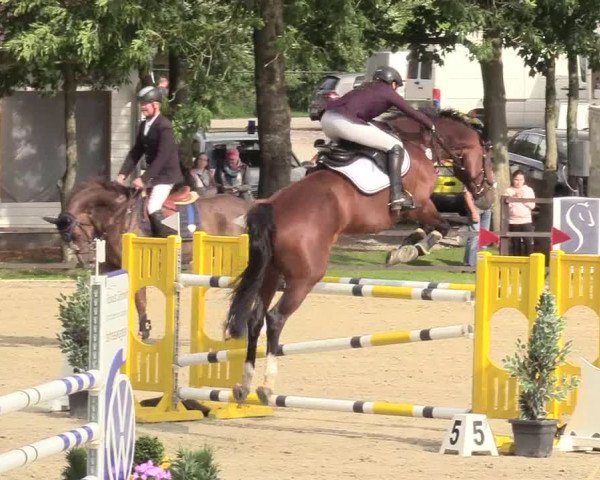 Reitturnier Schnarup-Thumby 2020