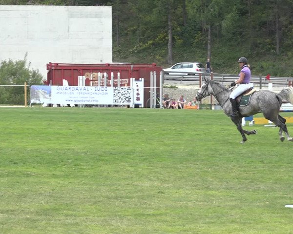 Reitturnier St. Moritz 2020