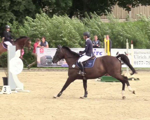 Reitturnier Schnarup-Thumby 2020