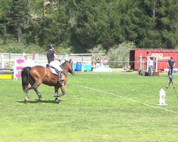 Reitturnier St. Moritz 2020