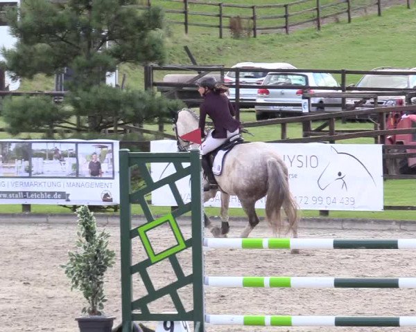 Reitturnier Schnarup-Thumby 2020