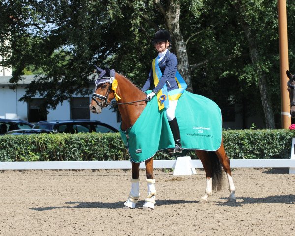 broodmare Wyonna 3 (German Riding Pony, 2012, from Heidbergs Nancho Nova)