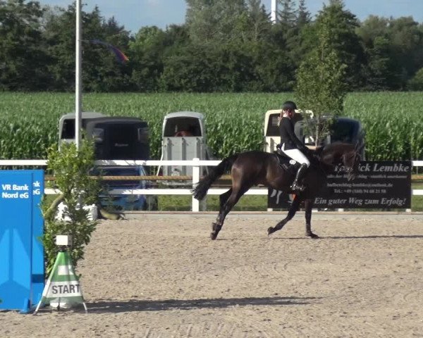 Reitturnier Ladelund 2020