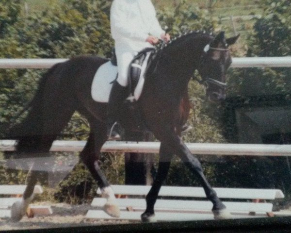 broodmare Floreale (Rhinelander, 1998, from Florestan I)