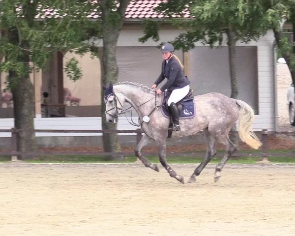 Reitturnier Schnarup-Thumby 2020
