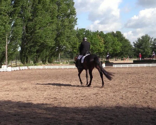 Reitturnier Hamm-Rhynern 2020