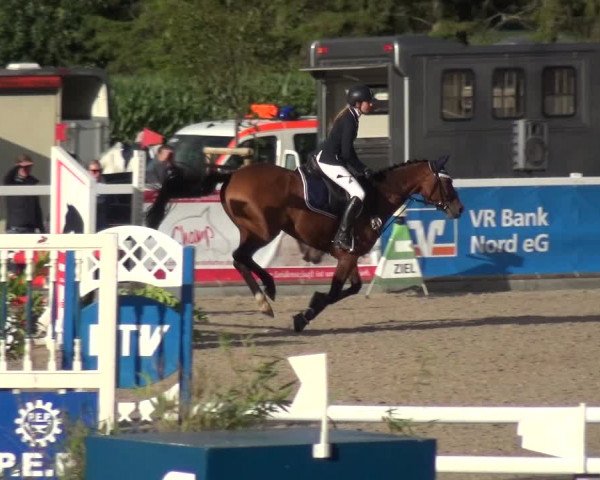 Reitturnier Ladelund 2020