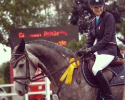 jumper Ponticello M (Westphalian, 2011, from Ullrich Equine's Pontecini)