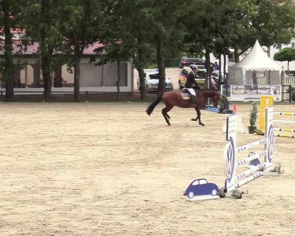 Reitturnier Schnarup-Thumby 2020