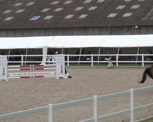 Reitturnier Ladelund 2020