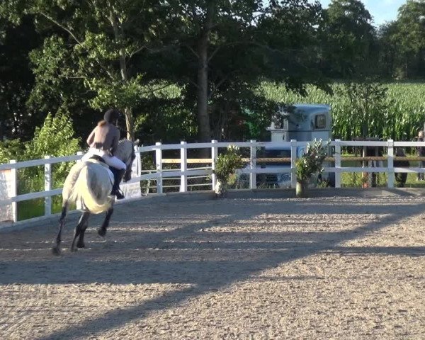 Reitturnier Ladelund 2020