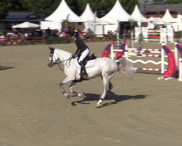 Equus Colonius - Reitanlage Brüse Köln 2021
