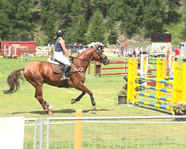 Reitturnier St. Moritz 2020
