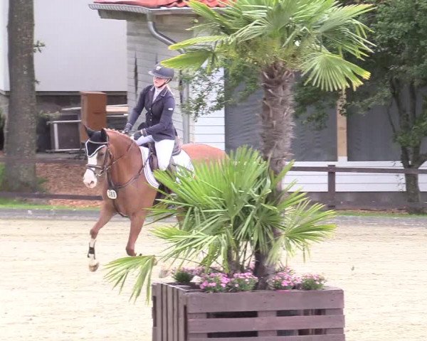 Reitturnier Schnarup-Thumby 2020