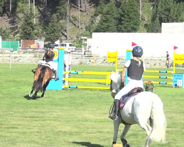 Reitturnier St. Moritz 2020