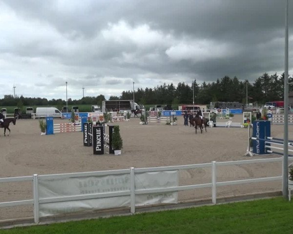 Reitturnier Ladelund 2020