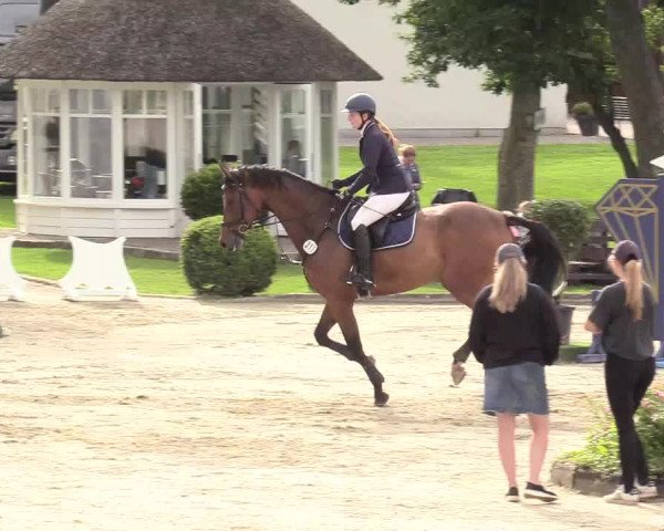 Reitturnier Schnarup-Thumby 2020