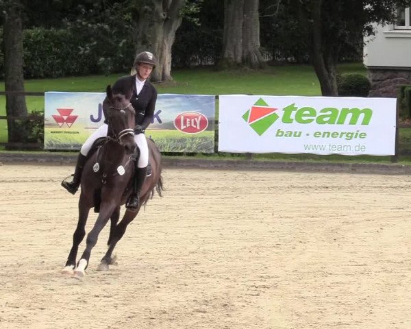 Reitturnier Schnarup-Thumby 2020