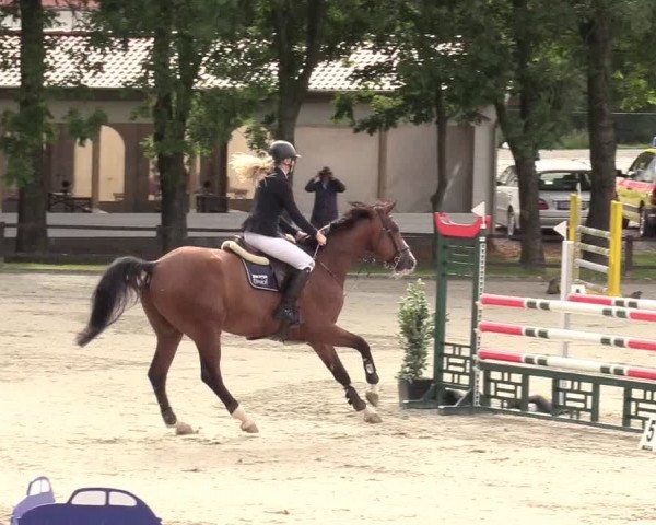 Reitturnier Schnarup-Thumby 2020