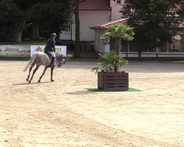 Reitturnier Schnarup-Thumby 2020