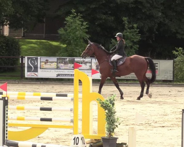 Reitturnier Schnarup-Thumby 2020