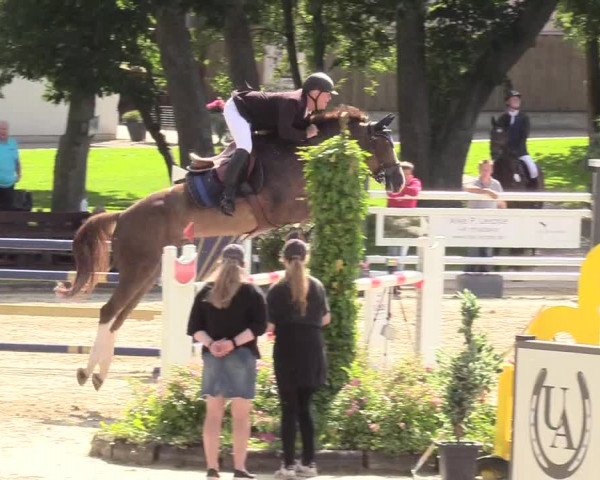 Reitturnier Schnarup-Thumby 2020