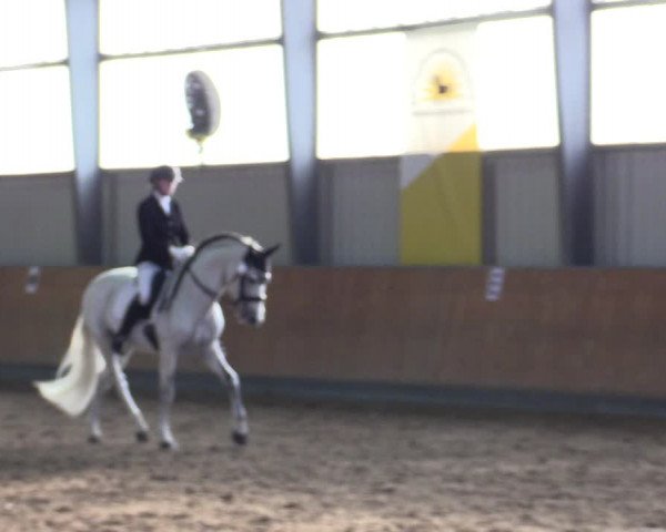 Reitturnier Frechen-Grefrath - Sonnenhof 2021