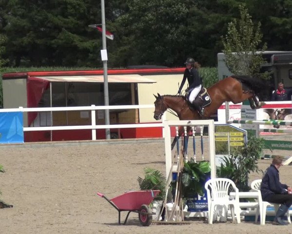 Reitturnier Ladelund 2020