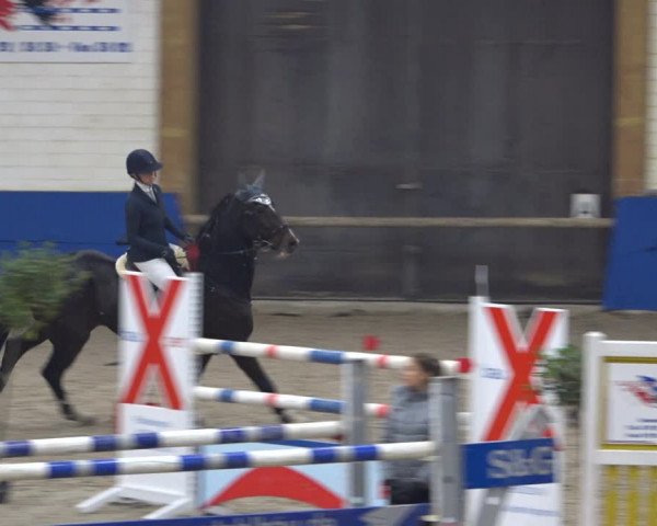 Reitturnier Sögel 2021