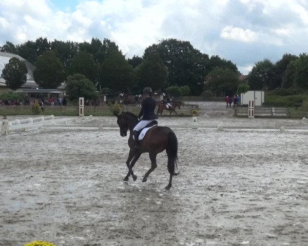 Reitturnier Schülp / Rendsburg 2020