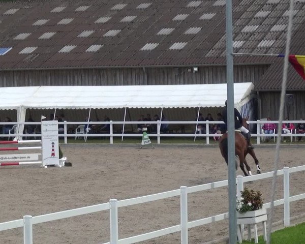Reitturnier Ladelund 2020