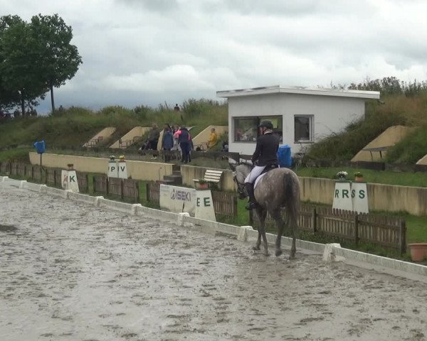 Reitturnier Schülp / Rendsburg 2020