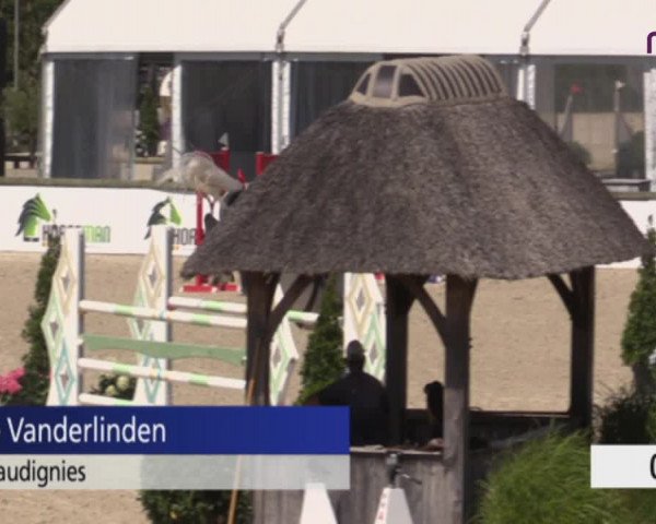 Jeugdfestival Lier 2020