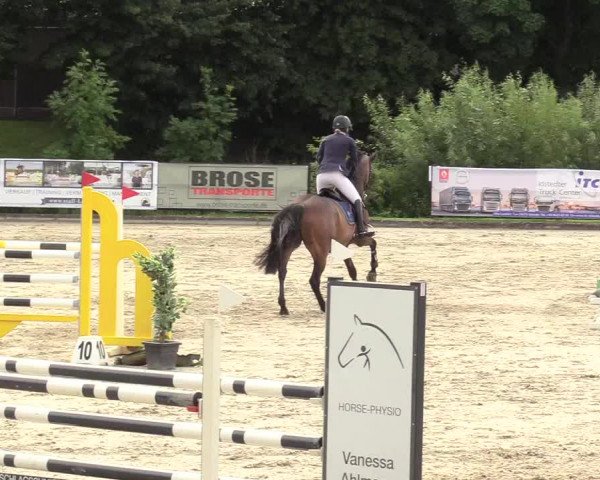 Reitturnier Schnarup-Thumby 2020