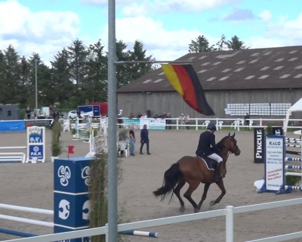 Reitturnier Ladelund 2020